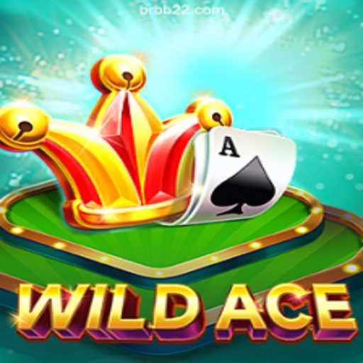WildAce: Dive into Excitement and Fun Daily